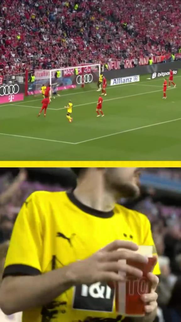 勇者無(wú)懼！這是真多特球迷！在拜仁球迷區(qū)一個(gè)人肆意慶祝！